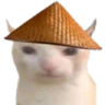 cnCat emote