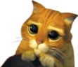 catpls emote