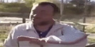 PohuYWide emote