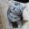 Emote