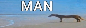 MAN emote