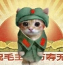 Lemeow emote