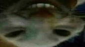 ppx emote