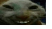 xddKool emote