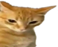 Ratchet emote