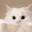 Emote