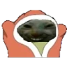 xddblankies emote