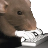 Ratting emote