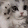 NotLikeMeow emote
