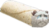 Porrito emote