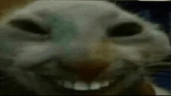 elmxdd emote