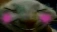 xddshy