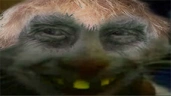 xddbriish emote