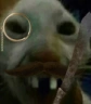 xddbriish emote