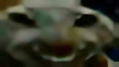 xddupscaled emote