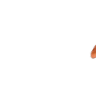 dankspear emote