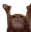 Catting