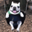 Hvdras avatar