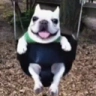 xd emote