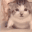 CatEmotes