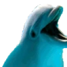 DolphinRave emote