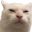 Stank