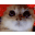 RAGEY