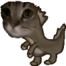 kotuh emote