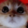 ragey emote