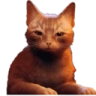 StrayCat emote