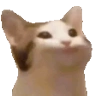 PauseYep emote