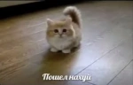 go emote