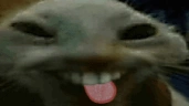 xddlick emote