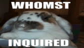 WHOMSTINQUIRED emote