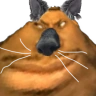 lunuch emote