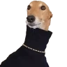 ames emote