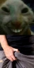 xddpg emote