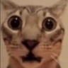 YoCuando emote