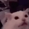 FLASHBANG emote