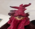 dono emote