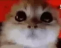 RAGEY emote
