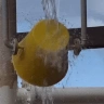 BUCKETS emote