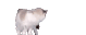InvestigatingTheChatroom