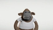 japierdole emote