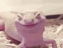 Smile emote