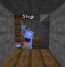 DonoWall emote
