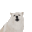 AWOO