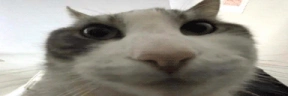 wires emote