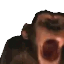 MONKE
