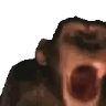 MONKE emote